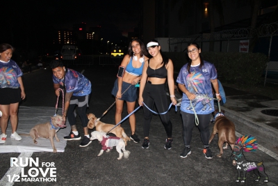 Run for Love 2024